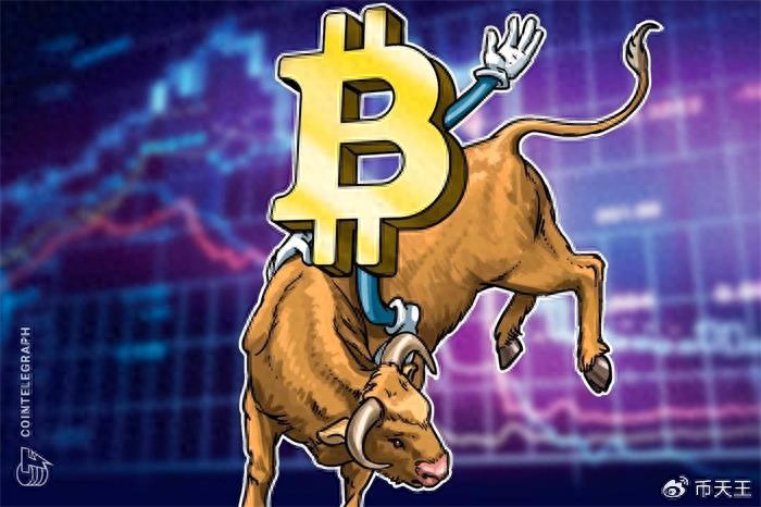 tp钱包官网下载app比特币投资策略深度分析：莫愁前路无知己，币胜团币天王带你斩获丰厚利润