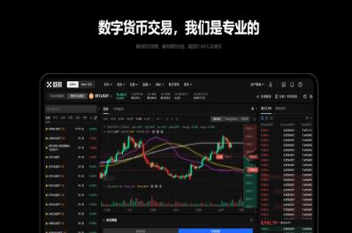 加密货币存储交易平台选择：欧意交易所与Web钱包比较