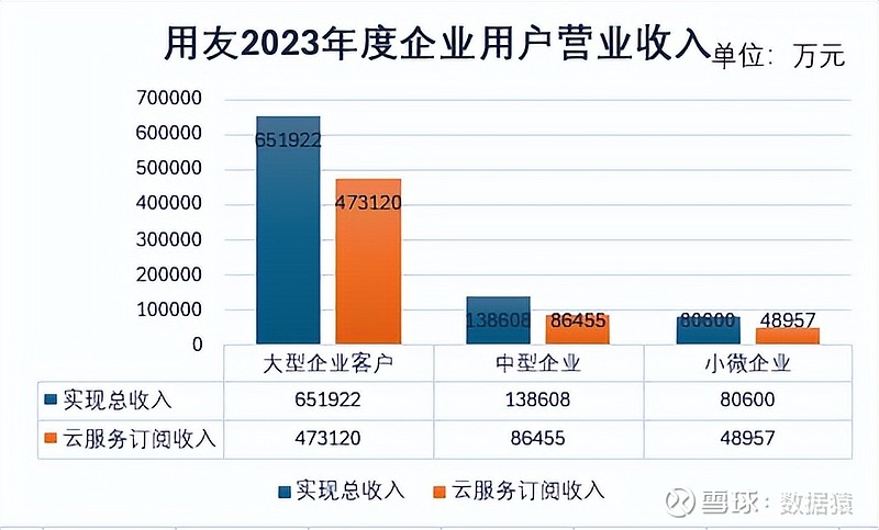 预算出现的问题_预算亏损:2024年39家公司面临的挑战与战略调整_预算亏损是什么意思