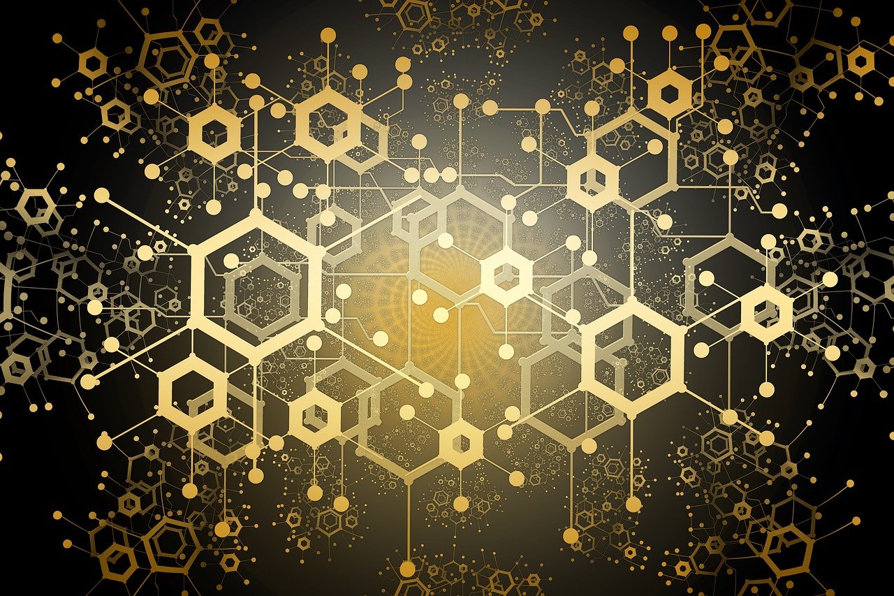 2022版TP钱包下载使用官方指南：数字货币管理好帮手