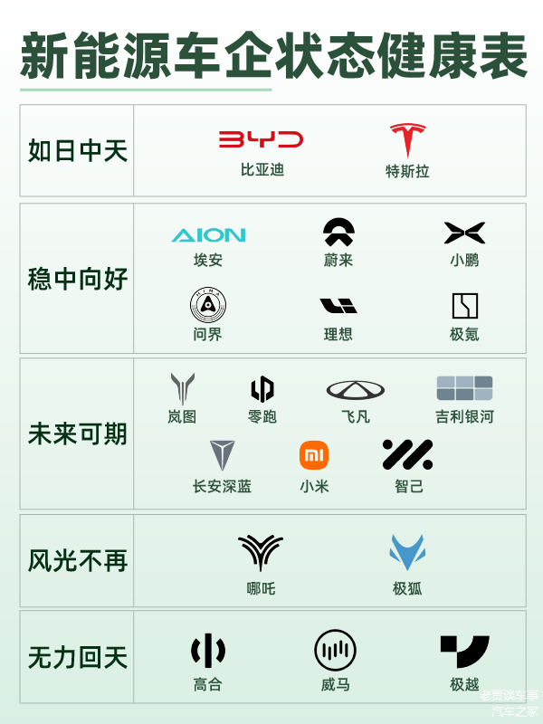 如何看待小米进军汽车行业_小米进军汽车行业案例分析_小米汽车如何应对市场竞争中的质量挑战？