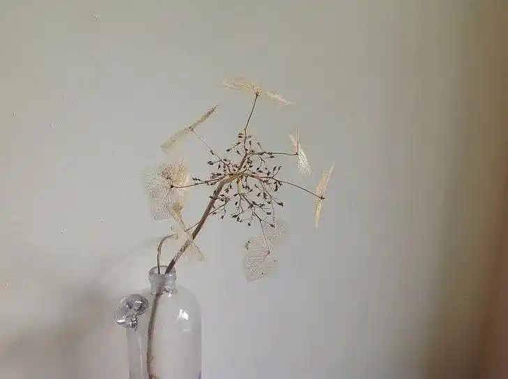 货币回报率_了解BNB币的投资风险与回报：从财务角度深入分析_货币回报叫什么