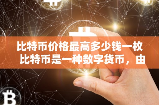 比特币价格波动分析：历史高点、投资风险与未来趋势预测