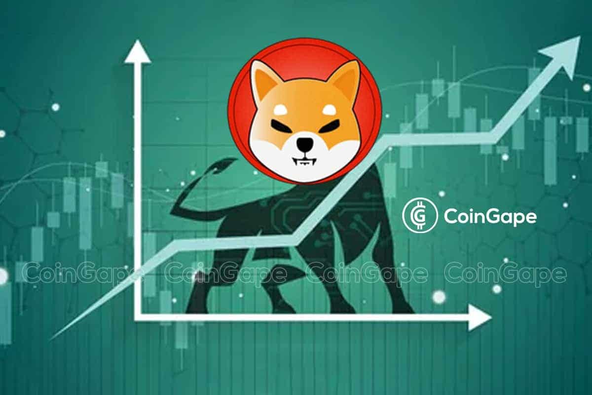 shiba-inu-bull.jpg